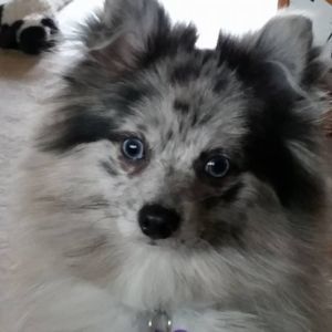 Meet your Posher, Sharla